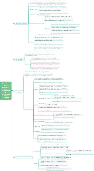 Membrane cellulaire bactérienne, membrane intermédiaire et cellulaire