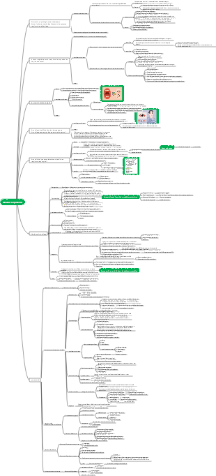 Pédiatrie médicale - Maladies respiratoires