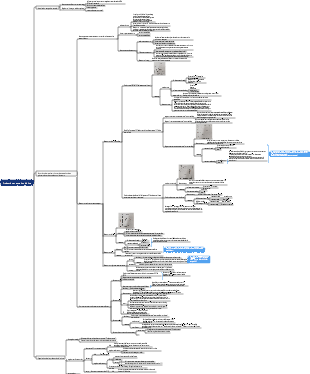 Physiologie-Production et excrétion d'urine