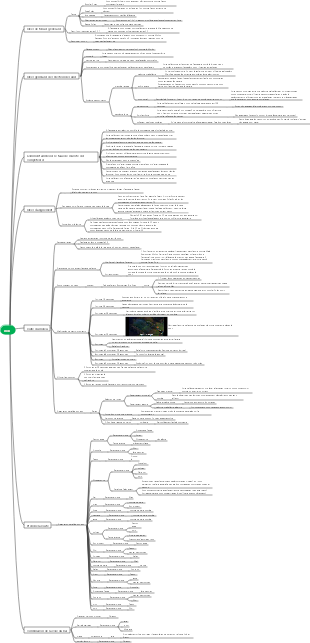 League of Legends mdr conseils pour marquer des points carte mentale