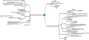 Carte mentale agriculture-plantation de colza