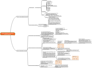 Gestion universitaire-Évolution historique de la théorie de la gestion