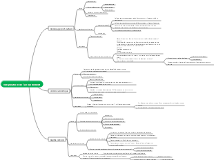 Médecine - Carte mentale des complications de l'accouchement
