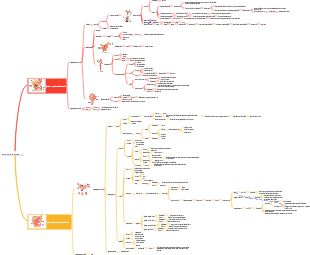 système reproducteur