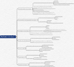 Planification de la marque