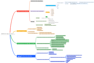 Nutrition et repas préscolaires
