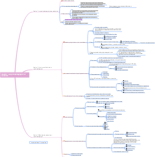 Psychopédagogie Chapitre 1 Carte mentale