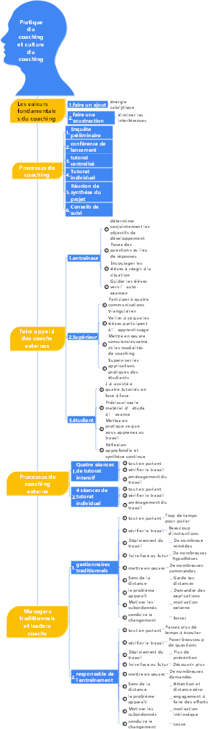 4-Gestion d'entreprise-04 Pratique du coaching et culture du coaching-005