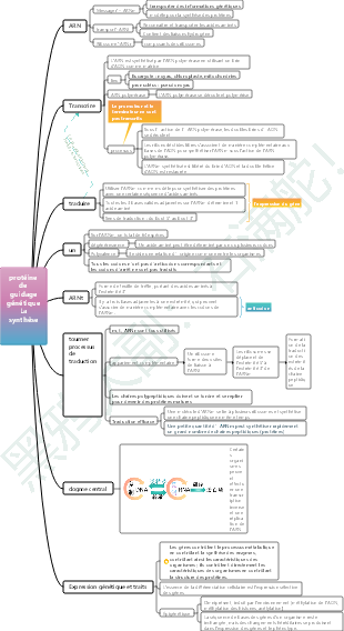 Un gène de biologie du secondaire guide la synthèse des protéines