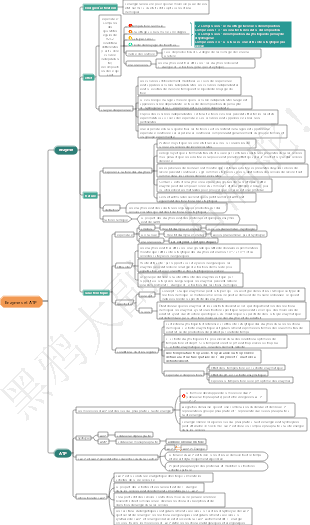 Carte mentale des enzymes biologiques du lycée