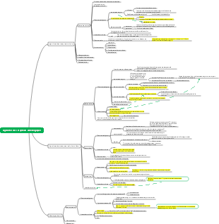 Agonistes des récepteurs adrénergiques