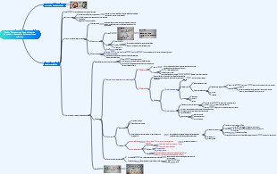 Physiologie Section 1 Structure de base et fonction de transport de matière de la membrane cellulaire