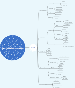 Encyclopédie des insectes