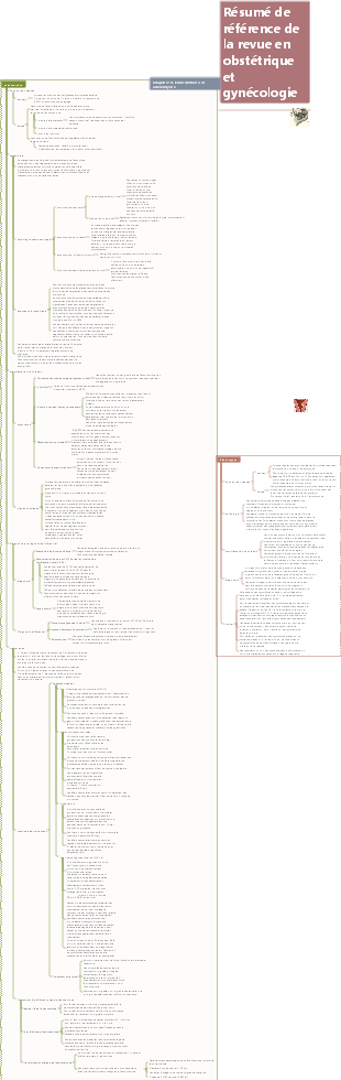 Obstétrique et gynécologie – Endométriose et adénomyose