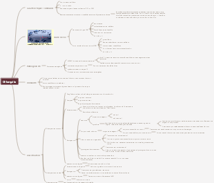 Carte mentale de la Chlamydia
