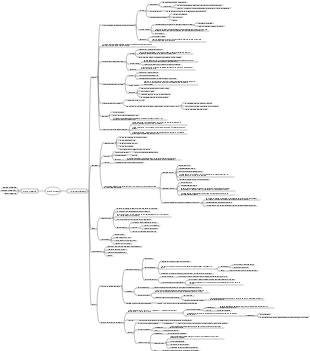 Carte mentale du système circulatoire