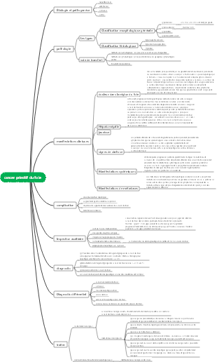 Chapitre 30 Cancer primitif du foie