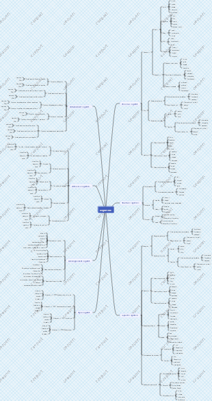 carte mentale cognitive
