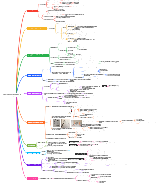 (Chirurgie) Blessures osseuses et articulaires des membres supérieurs