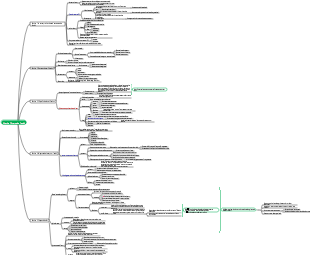 Audit - Chapitre 1 Présentation de l'audit Carte mentale