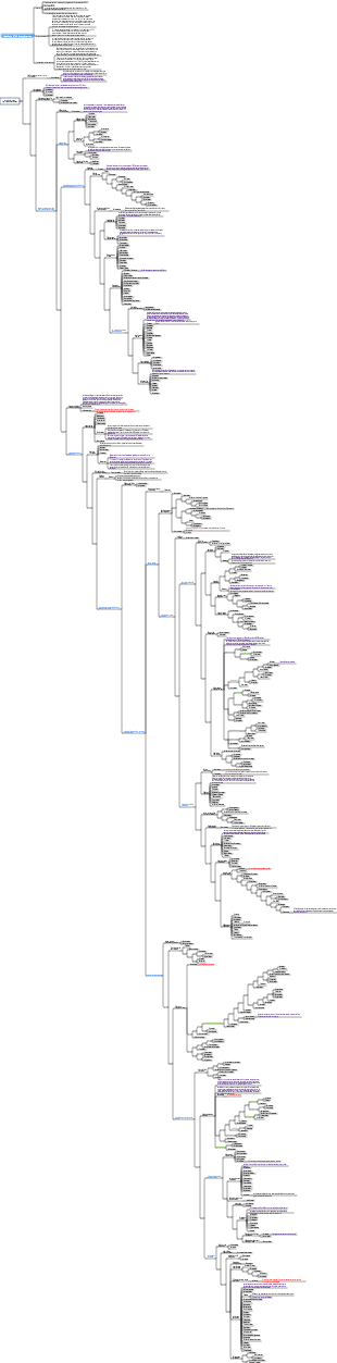 Système de classification des angiospermes (APG IV)