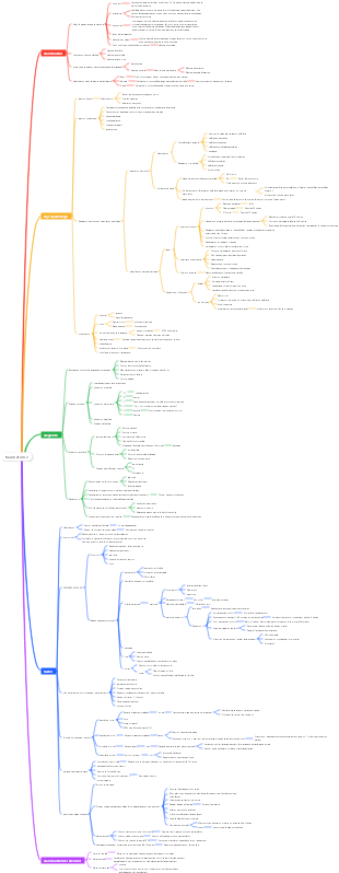 Carte mentale médecine-traumatisme de l'année junior