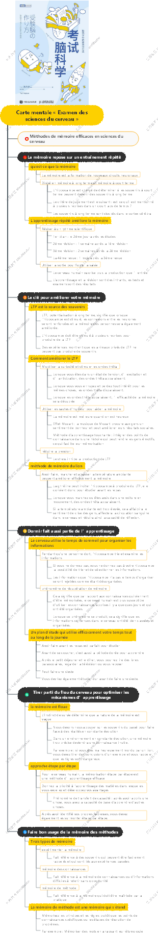 Carte mentale « Examen des sciences du cerveau »