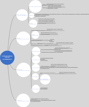 Le monde 5000 jours plus tard Kevin Kelly