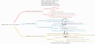 Explorez le monde aquatique