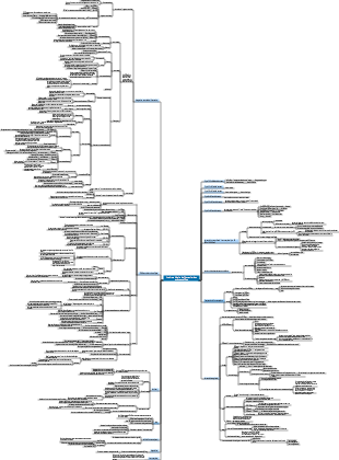 Une brève histoire de l'humanité, des animaux à Dieu