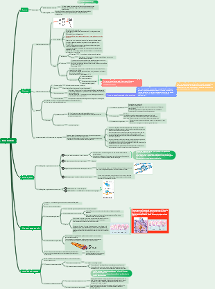 Chapitre 7_Organisation nerveuse