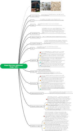 Carte mentale des os de dragon de médecine chinoise