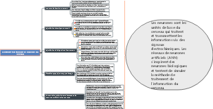 Comment fonctionnent les neurones du cerveau