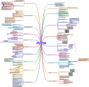 Carte mentale des notes de lecture « Let Love Come Home »