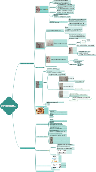Обзор анатомии и физиологии женской репродуктивной системы (2)