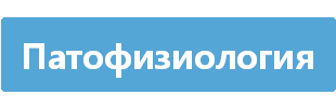 Пациент 04 Кислотно-щелочной баланс