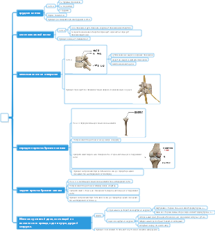 Карта разума «Медицина-Кость»
