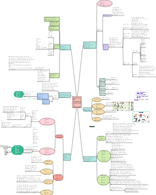 Биология - Хромосомы человека и хромосомные аберрации
