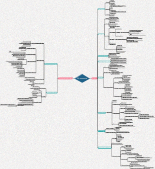 Интеллект-карта подбора и настройки персонала