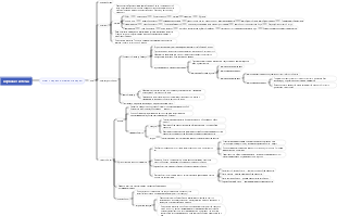 Анатомия — Глава 9 — Нервная система (2)