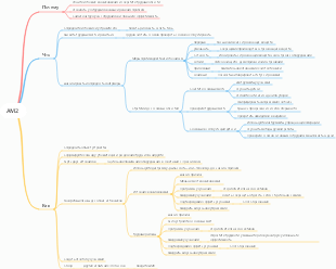 Процессор TPM-AM2