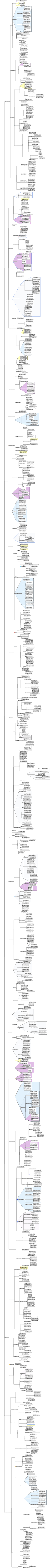 Основы управления информацией