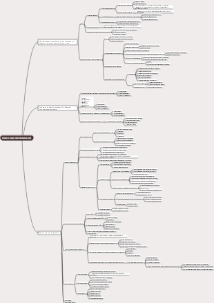 Корпоративная стратегия CPA до 2022 года и управление рисками. Глава 3. Стратегический выбор