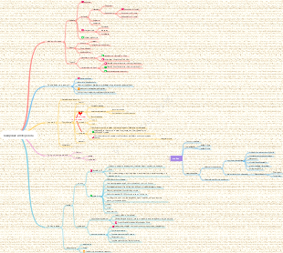 Ментальная карта ожирения и похудания