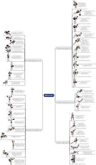 личный фитнес-план