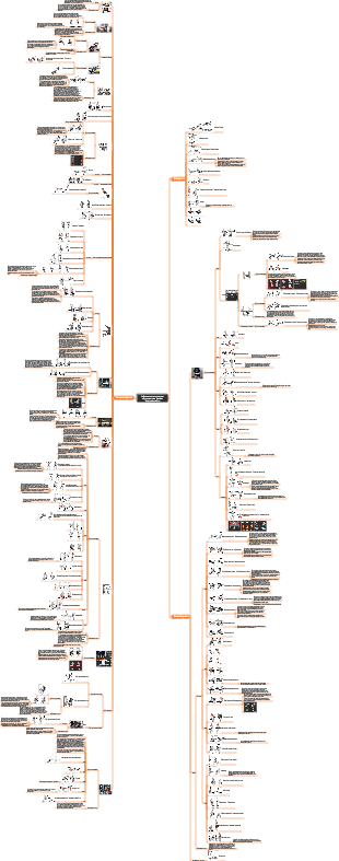 Наиболее полные иллюстрации оборудования для фитнеса и тренировок мышц.