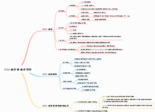DNA 손상 및 손상 복구