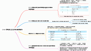 DNA 복제의 효소학 및 토폴로지