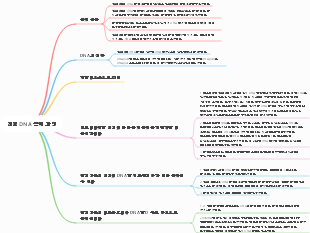 진핵 DNA 복제 과정