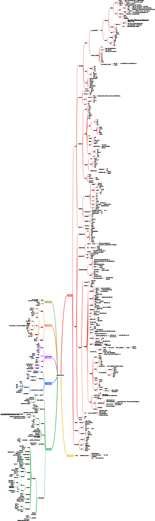 객관적인 사랑의 법칙